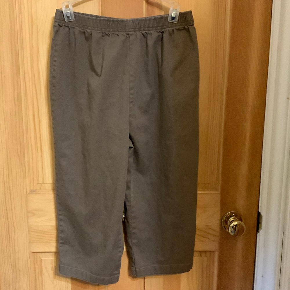 Carroll Reed Womens Shorts